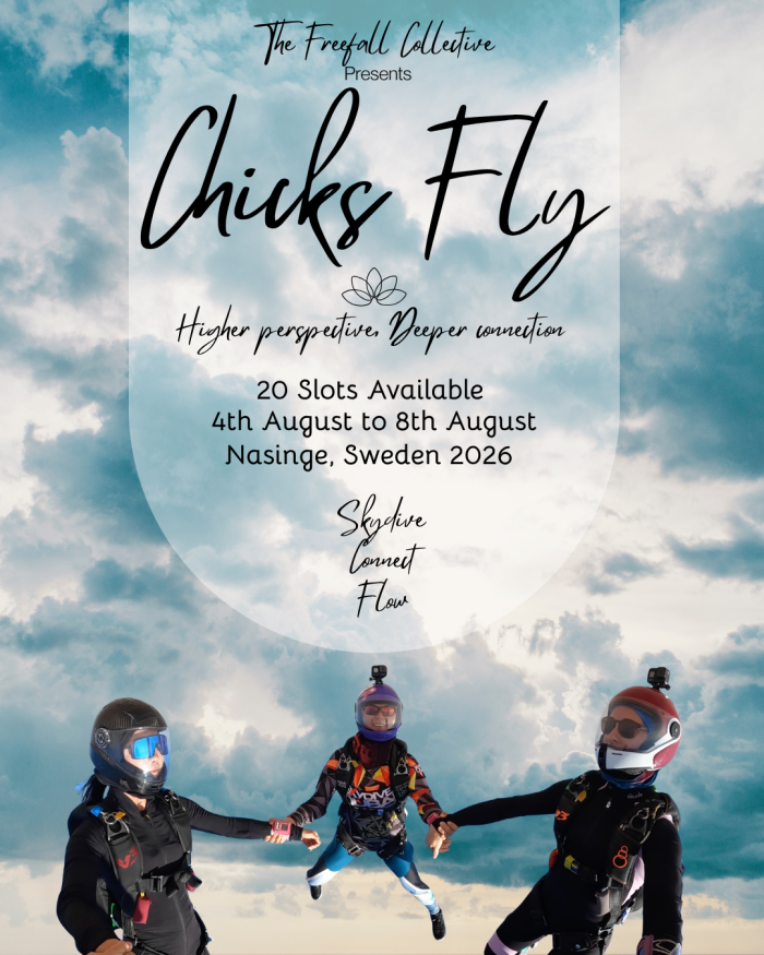 CHICKS FLY